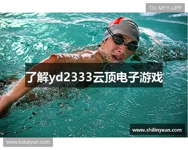 探索yd2333云顶电子游戏的魅力与玩法